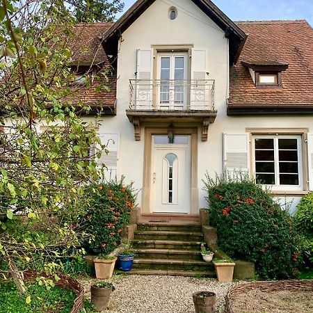 Authenticite Et Serenite Obernai Exteriör bild